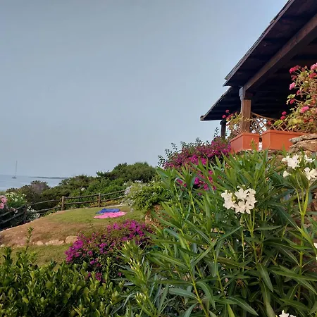 Eyes On The Sea